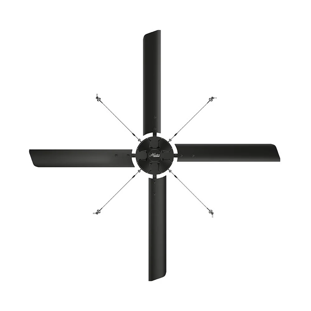 Eco Hunter Fan